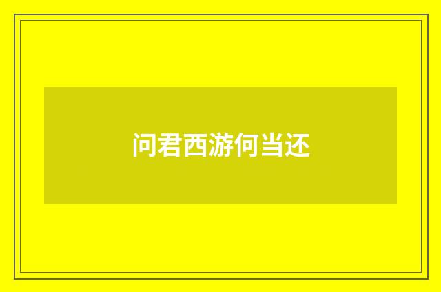 问君西游何当还