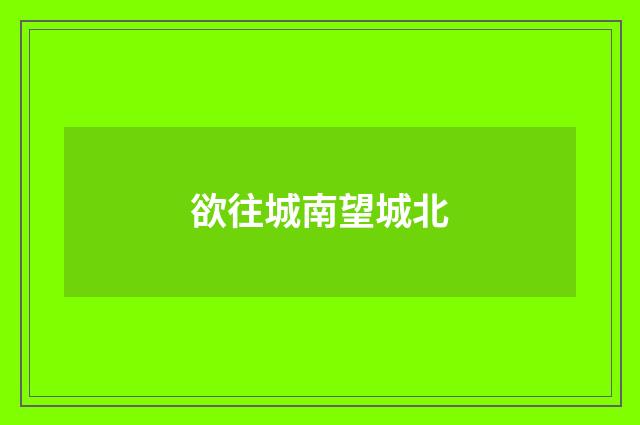 欲往城南望城北