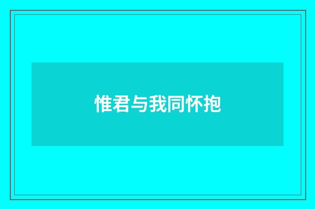 惟君与我同怀抱