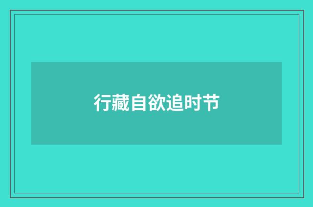 行藏自欲追时节