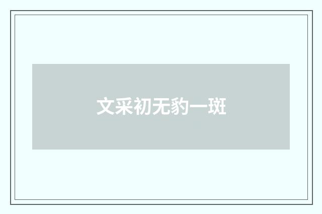 文采初无豹一斑