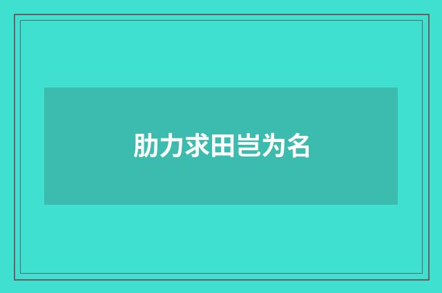 肋力求田岂为名