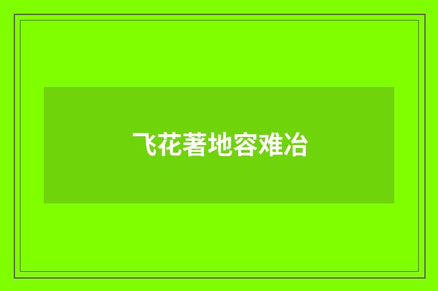 飞花著地容难冶
