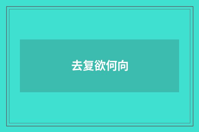 去复欲何向