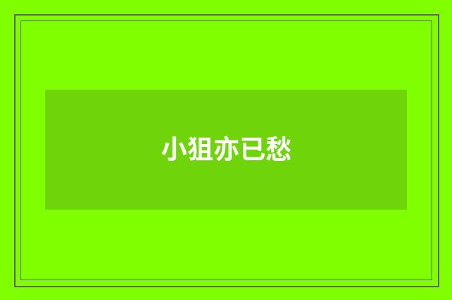 小狙亦已愁