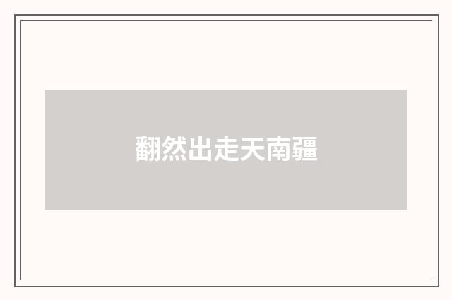 翻然出走天南疆