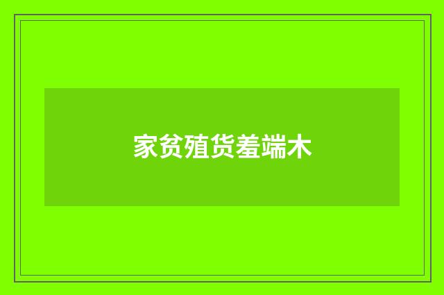 家贫殖货羞端木