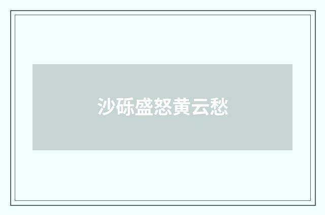 沙砾盛怒黄云愁