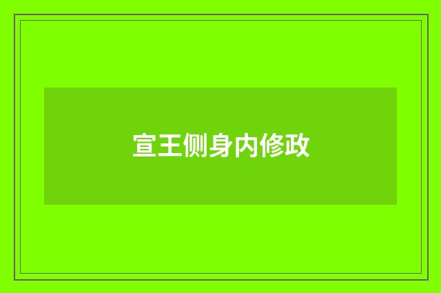 宣王侧身内修政