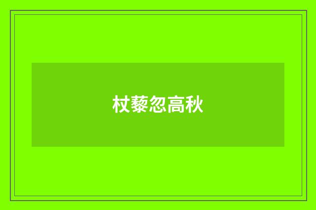 杖藜忽高秋