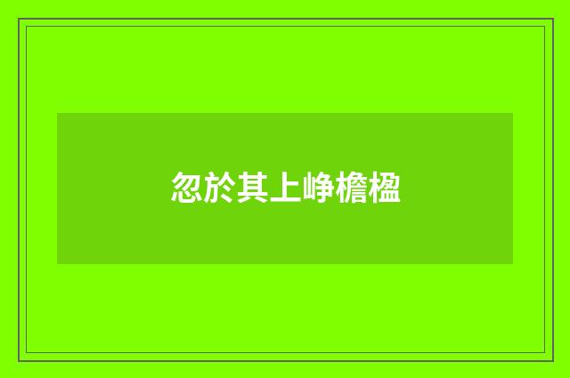 忽於其上峥檐楹