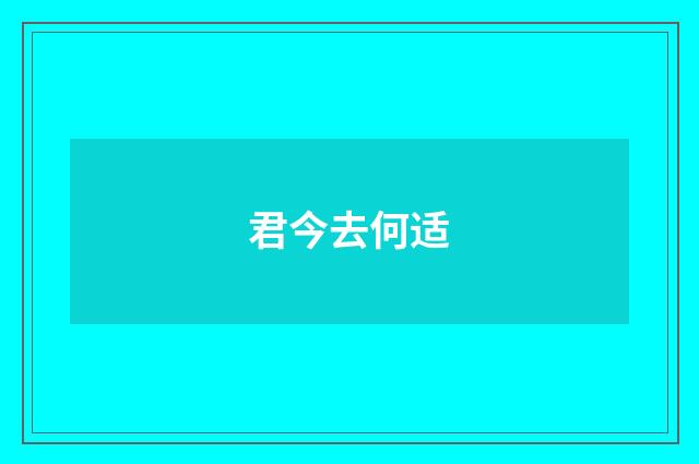 君今去何适