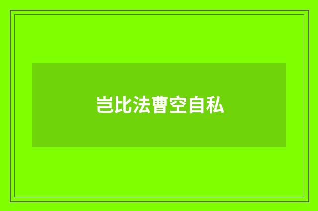 岂比法曹空自私