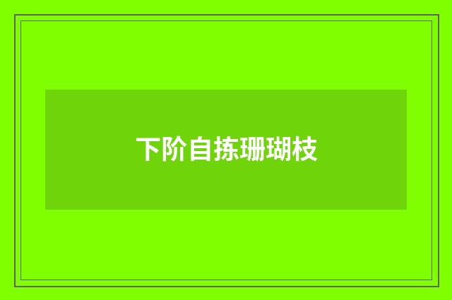 下阶自拣珊瑚枝