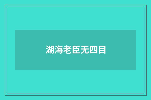 湖海老臣无四目