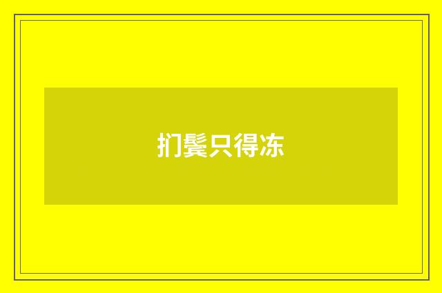 扪鬓只得冻