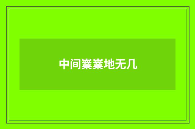 中间嶪嶪地无几