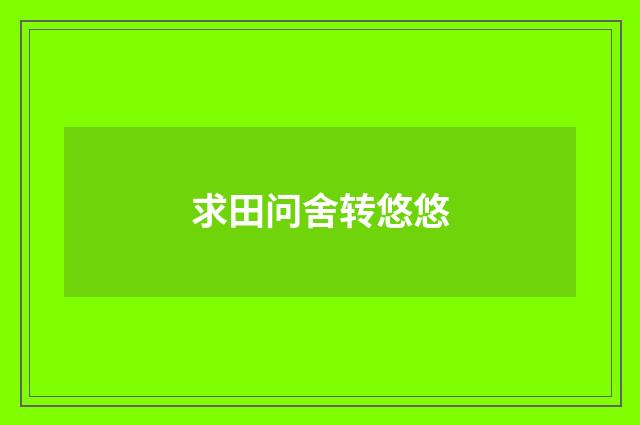 求田问舍转悠悠