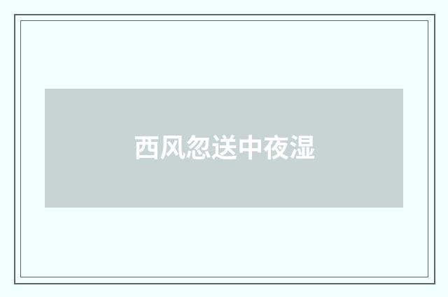 西风忽送中夜湿