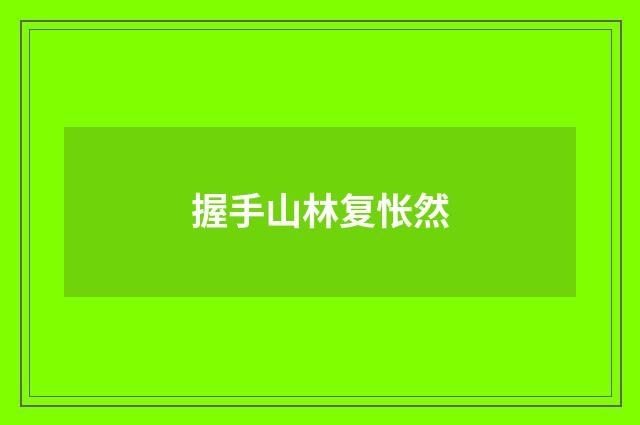 握手山林复怅然
