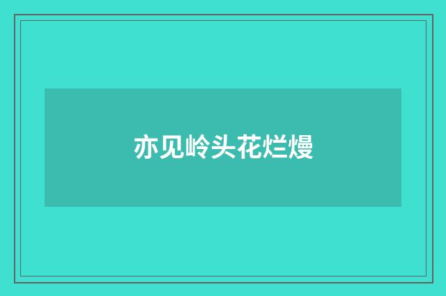 亦见岭头花烂熳