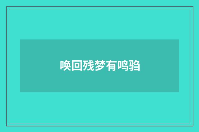 唤回残梦有鸣驺