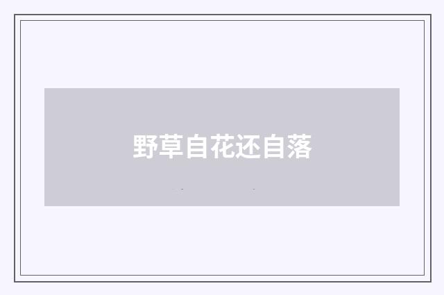 野草自花还自落