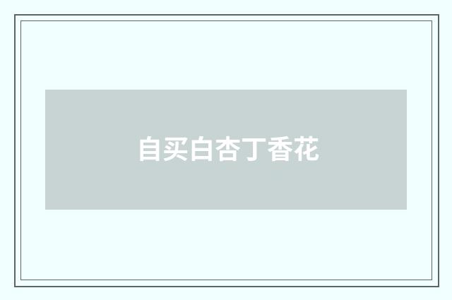 自买白杏丁香花