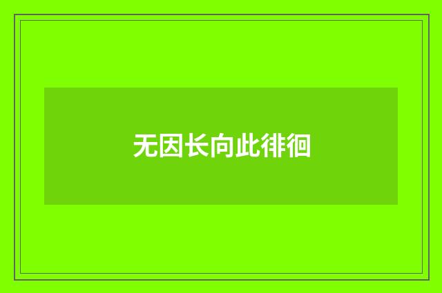 无因长向此徘徊
