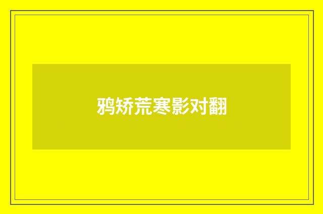 鸦矫荒寒影对翻