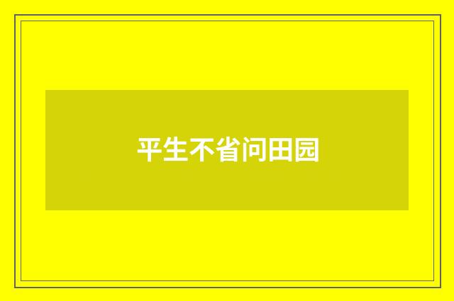 平生不省问田园