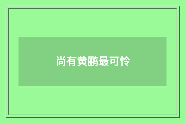 尚有黄鹂最可怜