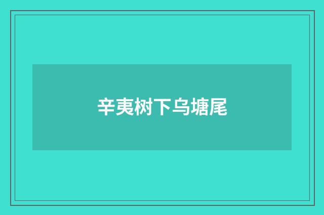 辛夷树下乌塘尾