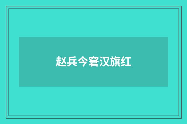 赵兵今窘汉旗红