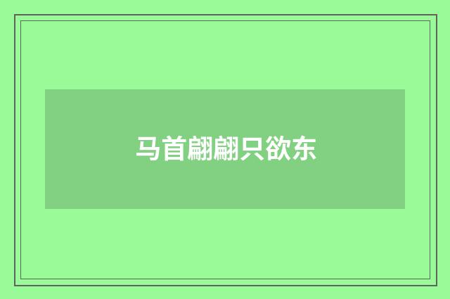 马首翩翩只欲东