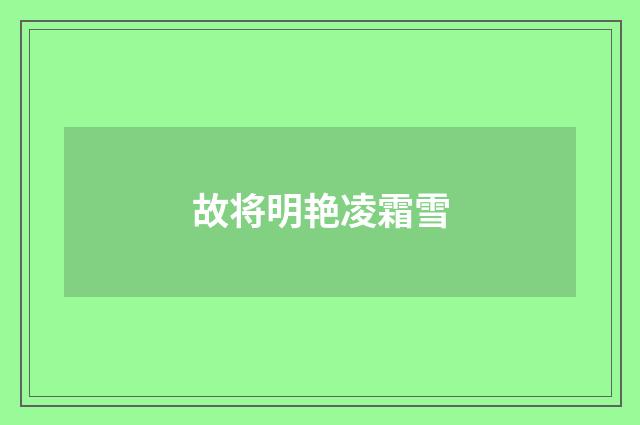 故将明艳凌霜雪