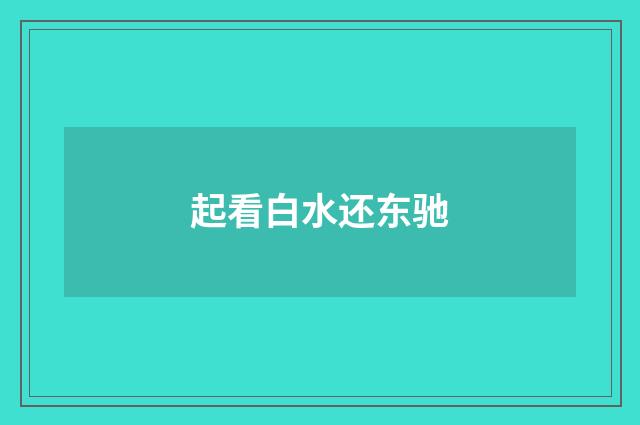 起看白水还东驰
