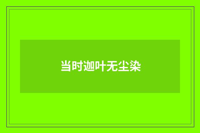 当时迦叶无尘染
