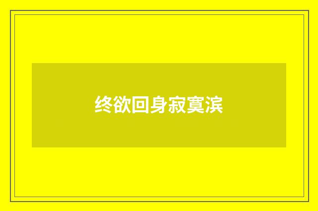 终欲回身寂寞滨