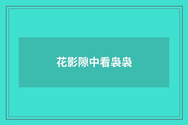 花影隙中看袅袅