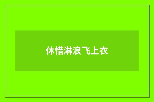 休惜淋浪飞上衣
