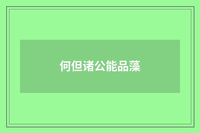 何但诸公能品藻