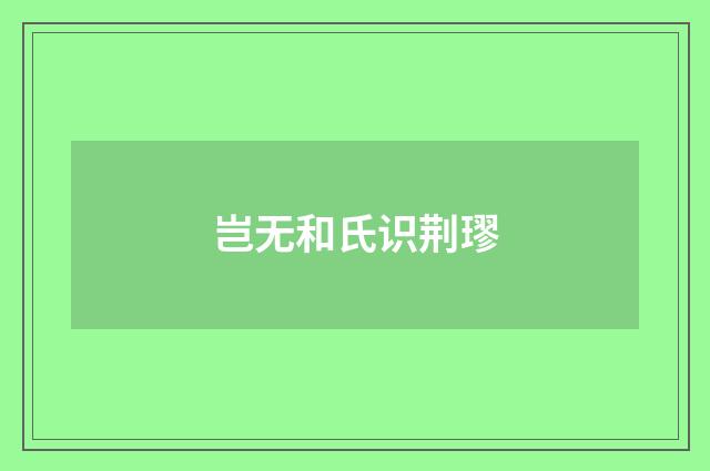 岂无和氏识荆璆