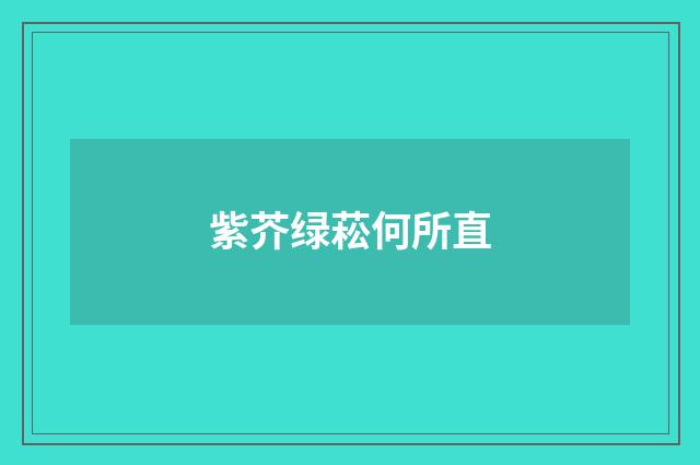 紫芥绿菘何所直