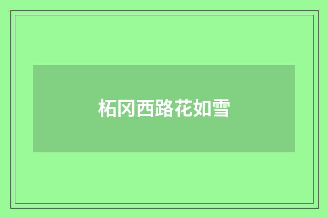 柘冈西路花如雪