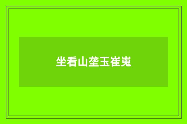 坐看山垄玉崔嵬