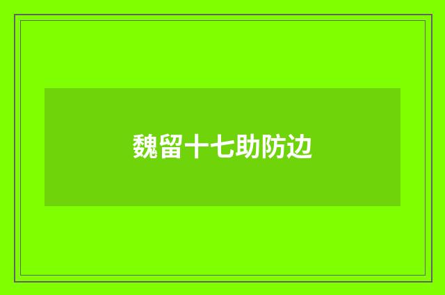魏留十七助防边