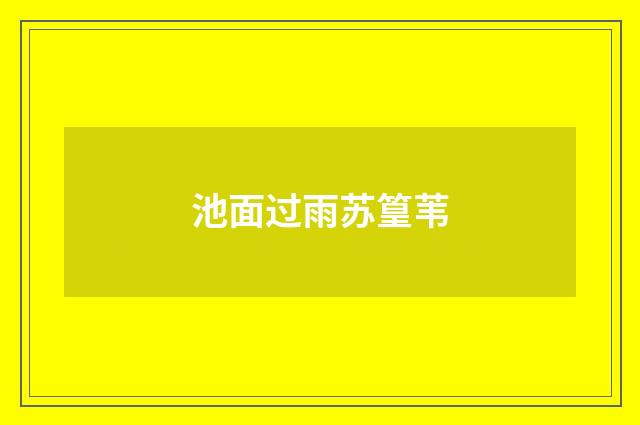 池面过雨苏篁苇