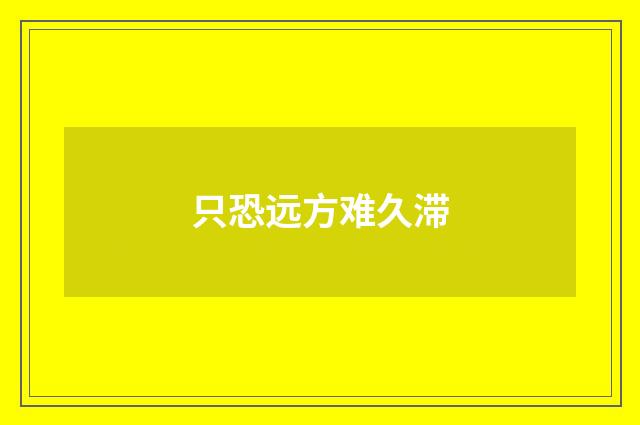 只恐远方难久滞