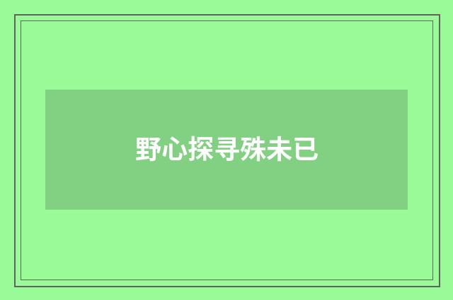 野心探寻殊未已